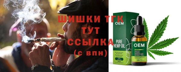 дживик Тобольск