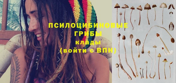 шишки Абинск